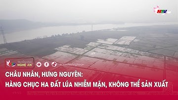 Châu Nhân, Hưng Nguyên: Hàng chục ha đất lúa nhiễm mặn, không thể sản xuất