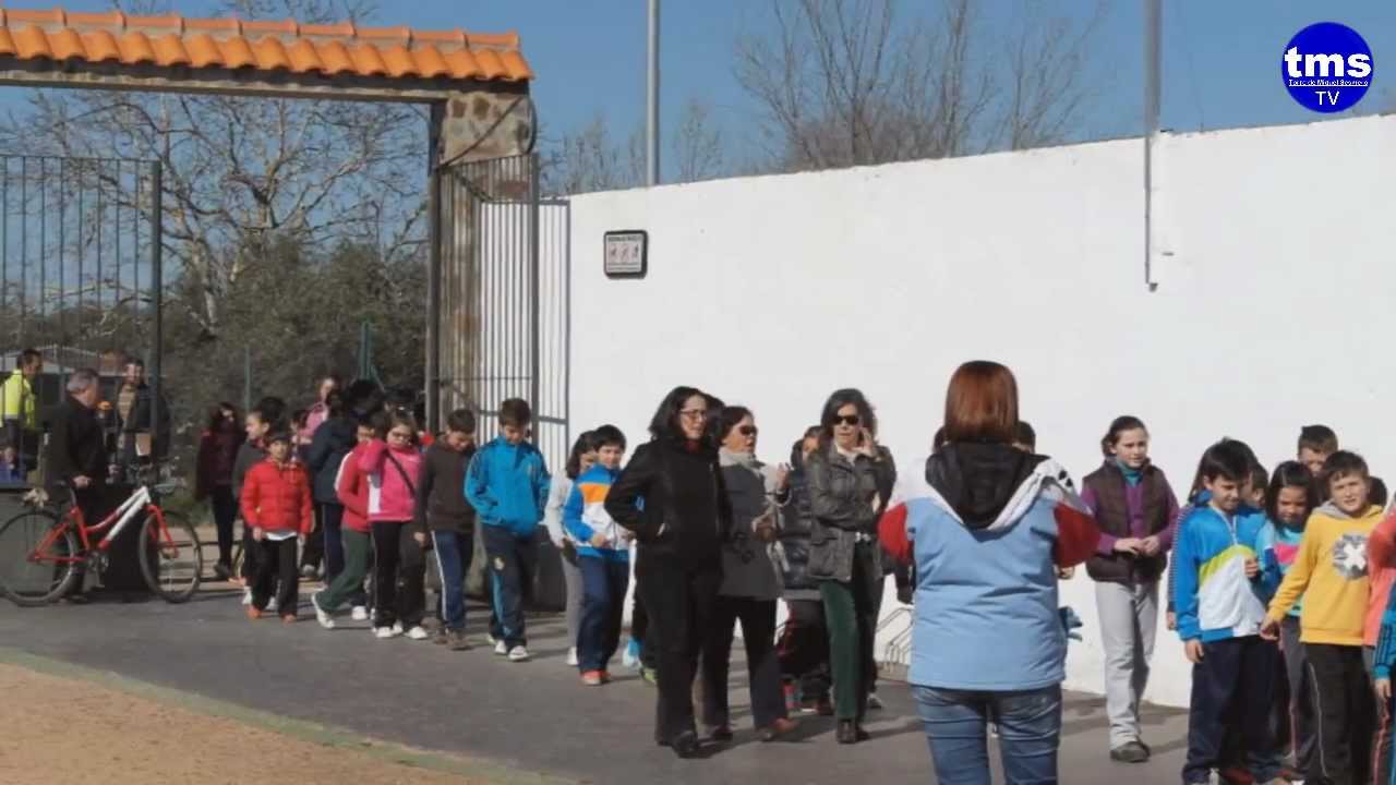 Plantemos un árbol.
