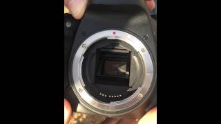Canon EOS 7D Mark II Burst Mode