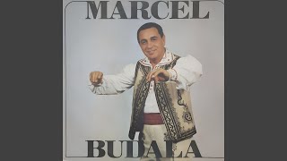 Geamparalele Dobrogene