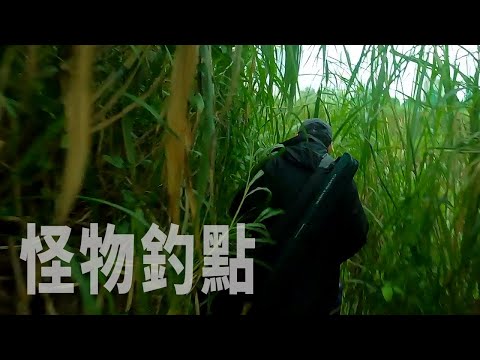 台灣-漁樂爽報