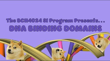 DNA Binding Domains within Transcription Factors: Zinc-Fingers, Helix Turn Helix, & Leucine Zippers!