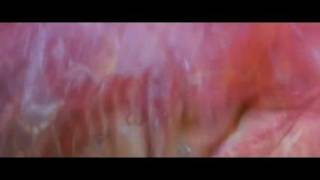 Green Snake  Dancing Scene