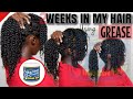 BEST GREASE FOR HAIR GROWTH, MOISTURE AND LENGTH RETENTION?! Realistic Two Weeks in my Natural Hair!