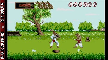 Ninja Rabbits © 1991 Microvalue - PC DOS - Gameplay