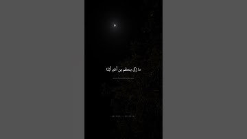 القارئ محمد صديق المنشاوي 