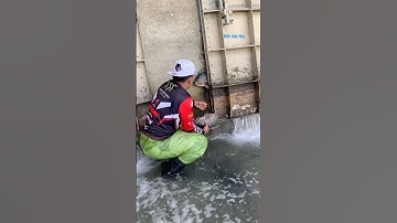 Cá Lớn - Cá Rô Phi Khủng mắc kẹt 🤩 #khacthuyvlogg