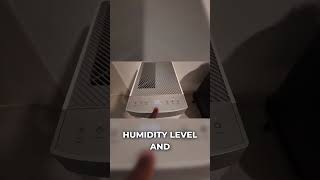 Dehumidifier Settings Explained: Comfort Mode