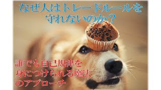 FXトレードでルールを守りたいのに守れない人へ