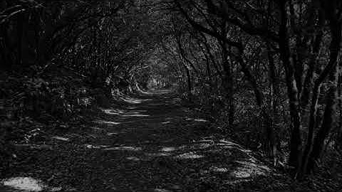 Using Stock Video & Sound