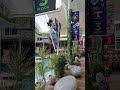 обучение трэйдингу здесь https://t.me/+TWlDzB0LAKI3N2Zi