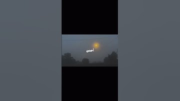 السورة : (القصص) : آية( ٧٧) : القارئ : (عمر ضياء الدين) #قرآن #قران_كريم #فلسطين