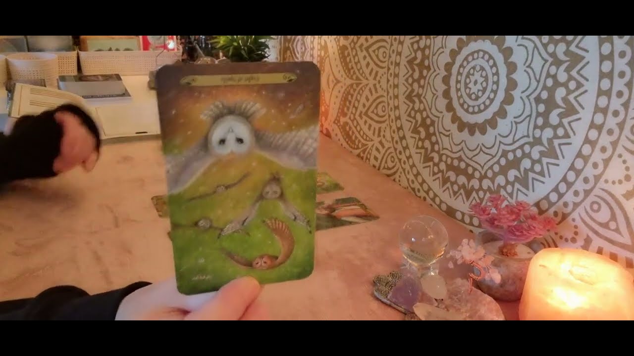 🩷 Liefde • Komende 48 Uur • 🤯 Hij Is Verdwaald Roekeloos & Vol Van Verdriet • Tarot Reading