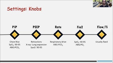 NIPPV/NIMV in Neonates