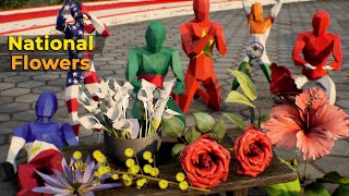 National Flowers by Countries | #comparison