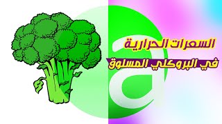 السعرات الحرارية في البروكلي الطازج والمسلوق | Calories in fresh broccoli and boiled broccoli