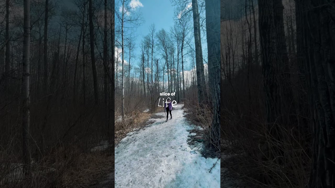 Trail walk in Lake Chickakoo. 