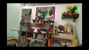 Giao Thừa Tết Đinh Dậu 2017