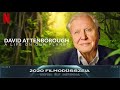 2020 Filmodüsszeia   David Attenborough  Egy élet a bolygónkon kritika
