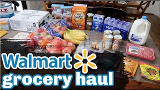 WALMART PICK UP GROCERY HAUL & FREEZER MEAL PLAN!