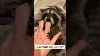 He Rescued a Raccoon from the Water and Took It Home, Then…