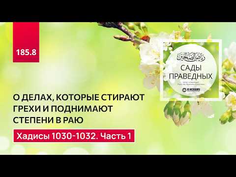 185.8 Сады праведных. О делах, которые стирают грехи и поднимают степени. Хадис 1030-1032. Часть 1