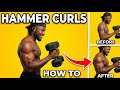 How To Do Hammer Curls for Bigger Biceps (Perfect Form)
