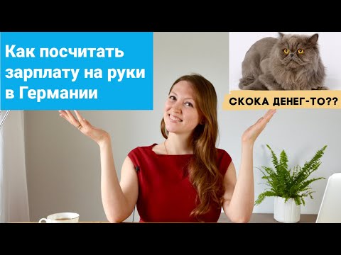 Зарплаты в Германии. Как посчитать зарплату на руки? До и после налогов? Сколько просить денег?