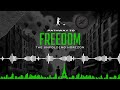 THE UNFOLDING HORIZON: THE ENCHANTING EPILOGUE TO YOUR PATHWAY TO FREEDOM