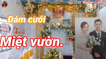 chia se công việc ráp rạp cưới ơ quê mình. rạp cưới Ngoan Cường, ngoan rap cuoi tv.