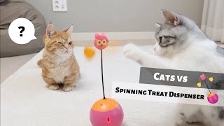 Cat Treat Dispenser Toy Review – Cuteness Overload! by Petites Paws 1,102 views 3 years ago 3 minutes
