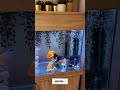 gold fish tank setup 🤩