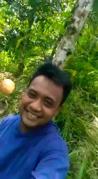 story wa lucu//Bocah Gemblung#Nyuri Telur Teman