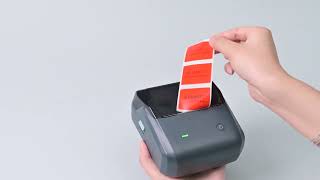 NIIMBOT B31 Thermal Label Printer with Auto Identification, Bluetooth Easy to Use for Home, Business