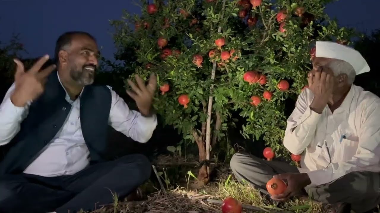 400 झाडांना 200 ली सॉईल चार्जर वापरणारे 70 वयाचे वडील मुलाच्या दुप्पट 12 लाखाच पॅकेज शेतीत पिकवताय‼️