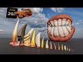 Monster teeth size comparison animation animals