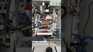 Robotic Shell Loading for Wire Harness Insertion Machines | Quick Changeover for Small Batches