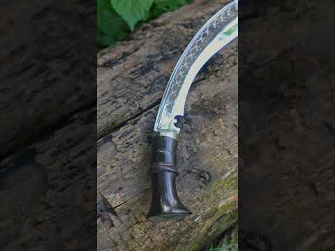 Beautiful Salyani Blade