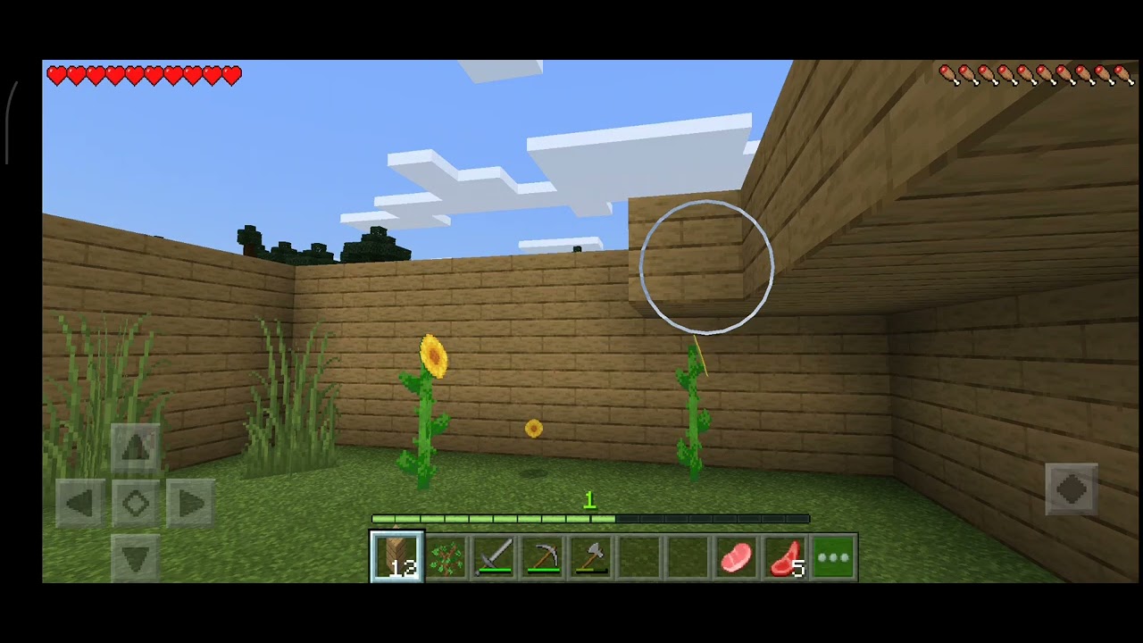 J' ai joué à Minecraft mais j' ai fait la pire maison