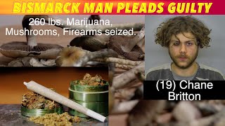 Bismarck Man Pleads Guilty To Big Pile Of Drugs