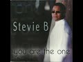 Stevie b  you are the one heavy ms rb remix