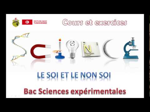 immunité - soi