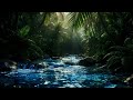 Amazon Tributary at Dusk - Rare Deep Jungle River Sound Recording