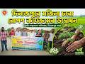 দিনাজপুরে সজিনা চারা রোপণ কার্যক্রমের উদ্বোধন | DNJ NEWS #shorts #viral #reels