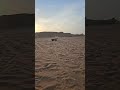 Traxxas Funco Sand Car Goes WILD! 💚🔥 Ultimate Off-Road Beast!