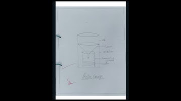 B.sc 4th semester botany practical file..!!#youtubeshorts #shortsvideo