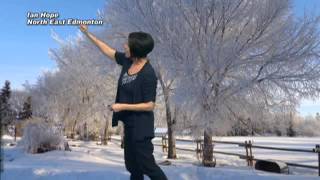 Afternoon Web Weather 02.05.14