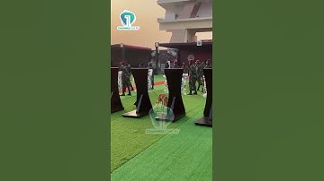 Ghana Prepares to Honour Nana Konadu Agyeman-Rawlings: Final K9 Security Checks at Black Star Square