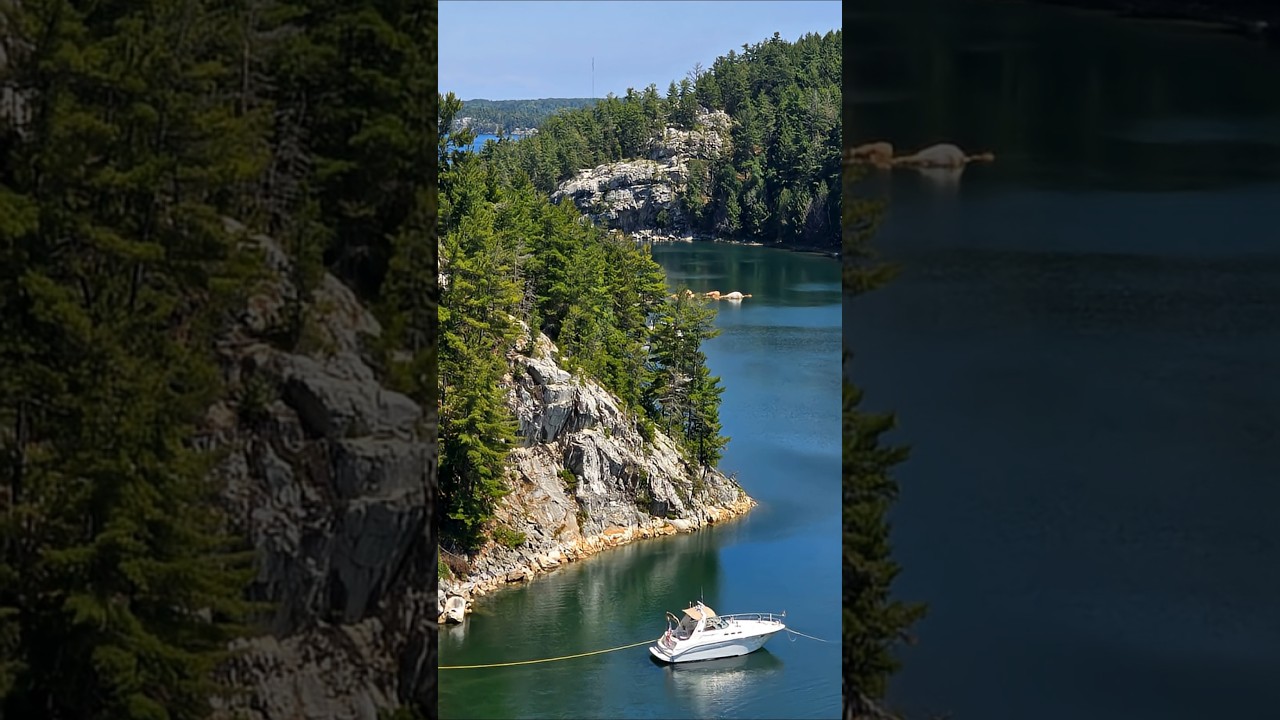 2025 Cruise Videos Start Now!! 