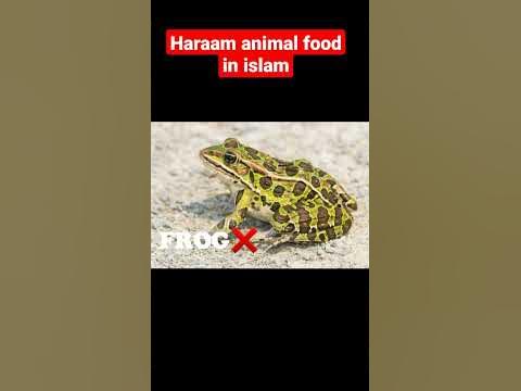 Haraam food in islam||#video ||#youtube ||#beautiful ||#youtubeshorts ...